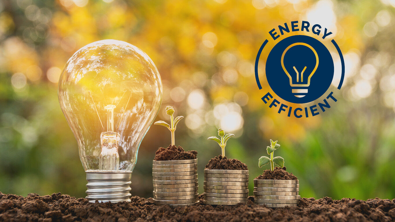 A light bulb stands in soil with three seedlings with the label 'Energy Efficient'